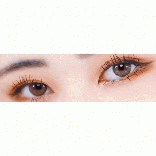 Lighly Lily Brown(日拋)